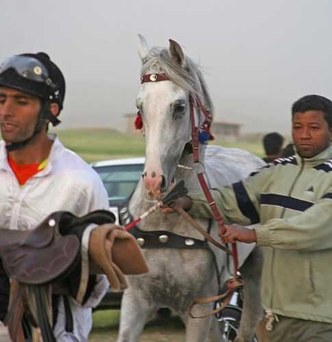 photo 4 chalderan photo 4 chalderan