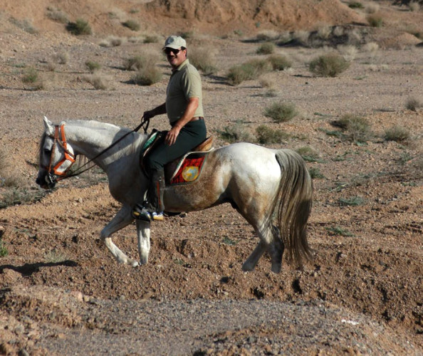 photo 6 agha zia photo 6 agha zia