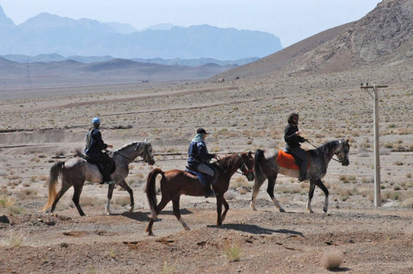 photo1 chaldaran fallat gavidan photo1 chaldaran fallat gavidan