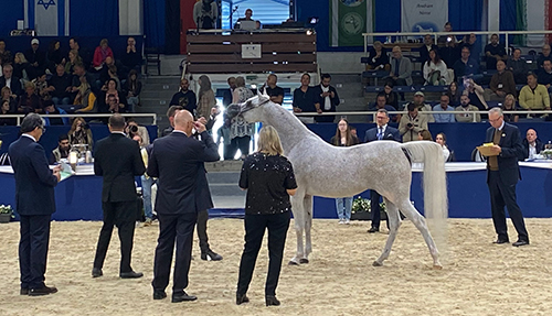 Reassessing the Arabian Scorecard