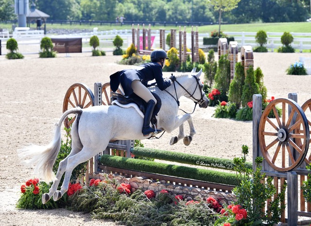 2023 usef pony 20230818 WA0001