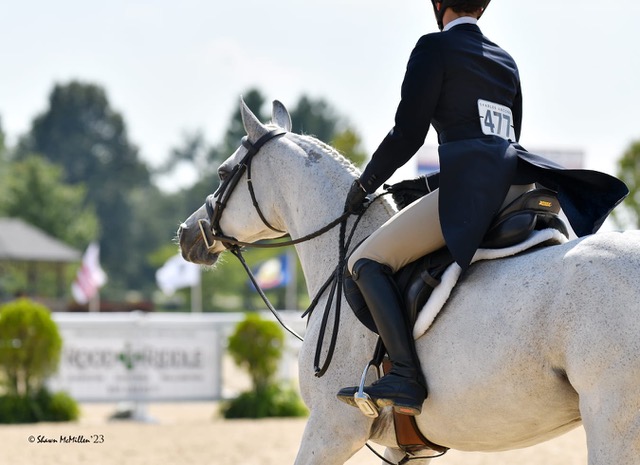 AM Rising Star Shines at the USEF Pony ...