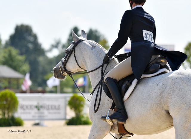 AM Rising Star Shines at the USEF Pony ...